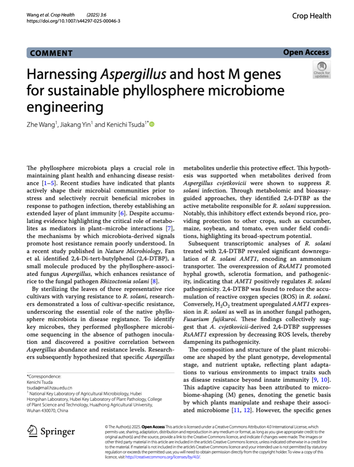 Graphical abstract for the 2025 Crop Health commentary